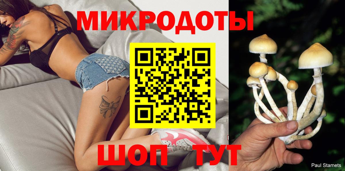 Галлюциногенные грибы GOLDEN TEACHER  Вход с VPN  Елизово 