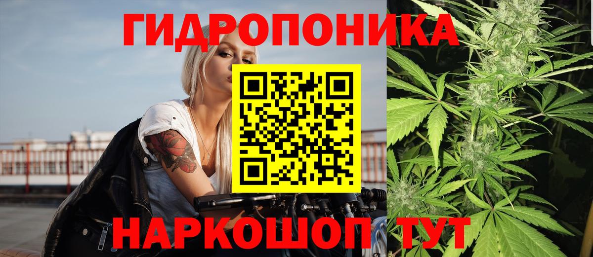 Бошки марихуана Amnesia  Бошки марихуана план  Вход с VPN  Елизово 